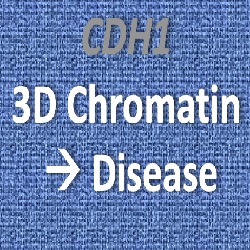 CDH1 3D CHROM project logo