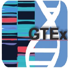 Genotype-Tissue Expression (GTEx) project logo